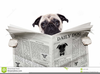 Clipart Dog With Newspaper Image