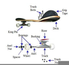 Skateboard Labeled Parts Image