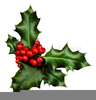 Christmas Holly Sprig Clipart Image
