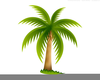 Palm Tree Art Image