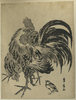 Hen And Chick. Image