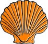 Orange Seashell Clip Art