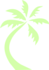 Palm Tree Clip Art