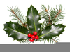 Christmas Holly Berries Clipart Image