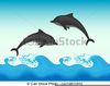 Free Dolphin Clipart Illustrations Image
