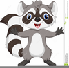 Animated Raccoon Clipart Image