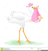 Free Clipart Stork With Baby Boy Image