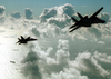 F/a-18 And F-14 Assigned To Cvw-17 Return To Ship Image