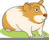 Clipart Guinea Pigs Free Image