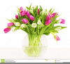 Clipart Flower In Vase Image