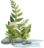 Andy Plants Pebbles And Flowers Clip Art