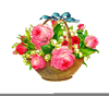 Free Clipart Pink Roses Image