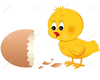 Clipart Hen Chicks Image