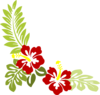 Widened Hibiscus Clip Art