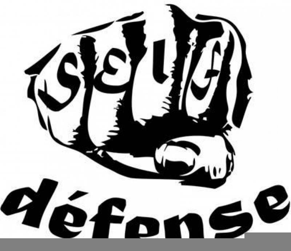 Free Self Defense Clipart | Free Images at Clker.com - vector clip art  online, royalty free & public domain
