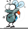 Free Clipart Housefly Image