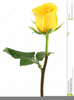 Long Stem Yellow Rose Clipart Image