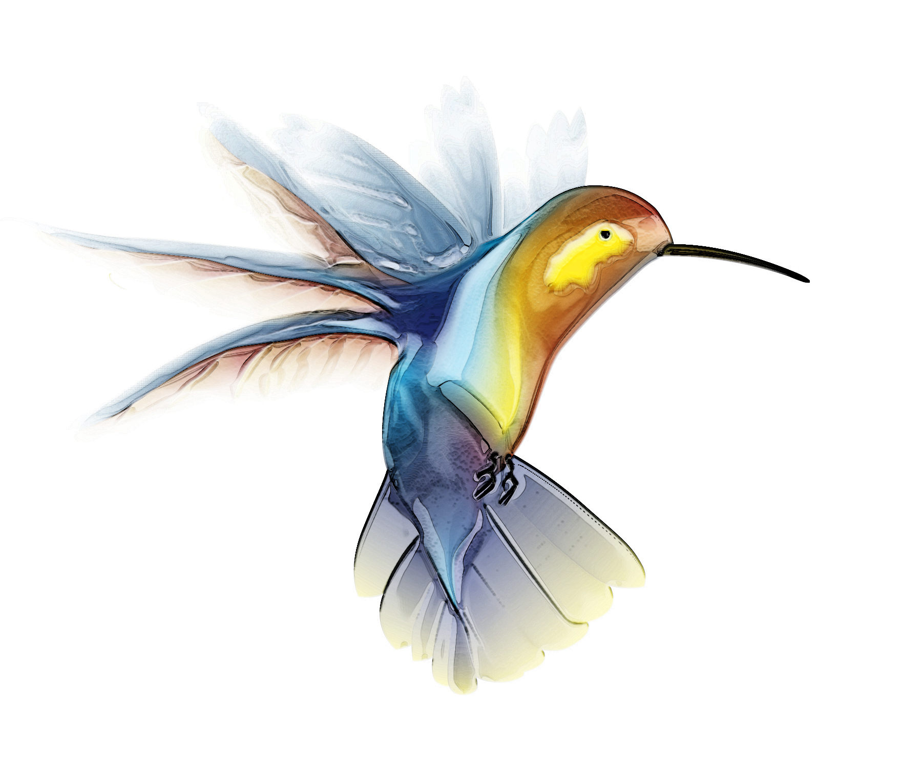 Hummingbird | Free Images at Clker.com - vector clip art online, royalty  free & public domain