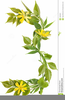 Clipart Branches And Flowers Image