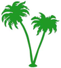 Palmtree Image