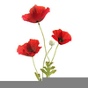 Artificial Flower Image Clipart Image