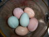 Araucana Chicken Eggs Image