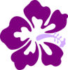 Purple Hibiscus2 Clip Art