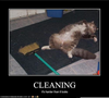Funny Spring Cleaning Image