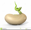 Green Bean Clipart Image