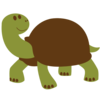 Turtle Brown Image
