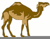 Camel Clipart Free Image
