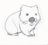Wombat Drawing Image