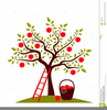 Apple Tree Clipart Free Image