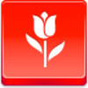 Free Red Button Icons Tulip Image