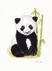 Watercolor Panda Bear Image