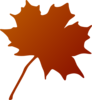 Orangish Red Gradient Maple Leaf Clip Art