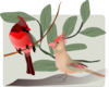 Cardinals Clip Art