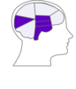Head And Brain Outline3 Clip Art