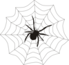 Spider And Web Clip Art