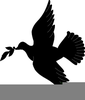 Free Dove Clipart Black And White Image