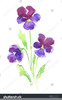 Clipart Violets Flowers Image