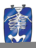 Chest X Ray Clipart Image