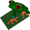 Red Eye Frog Mirko Maisc Med Image