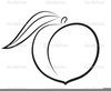 Black And White Fruit Clipart Image