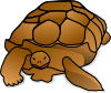 Turtle Cartoon Clip Art