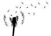 Vector Illustration Of Blowing Dandelion On A White Background Image