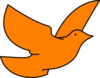 Orange Dove Clip Art