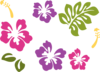Hibiscus Single Pieces  Clip Art