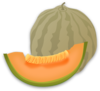 Musk Melon Clip Art