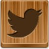 Twitter Bird Icon Image